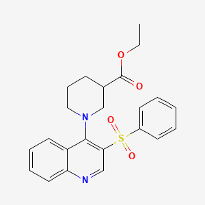 molecular formula C23H24N2O4S B2383438 Ethyl 1-[3-(benzenesulfonyl)quinolin-4-yl]piperidine-3-carboxylate CAS No. 872209-38-6