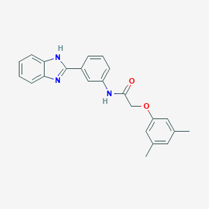molecular formula C23H21N3O2 B238410 N-[3-(1H-benzimidazol-2-yl)phenyl]-2-(3,5-dimethylphenoxy)acetamide 