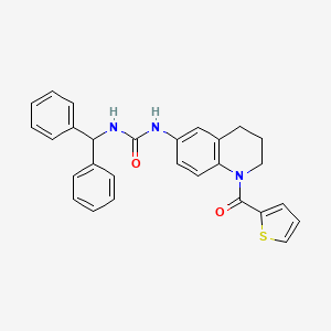 molecular formula C28H25N3O2S B2385110 1-Benzhydryl-3-(1-(thiophene-2-carbonyl)-1,2,3,4-tetrahydroquinolin-6-yl)urea CAS No. 1203019-23-1