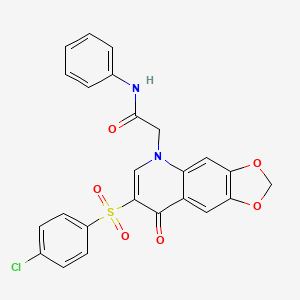 2-[7-(4-chlorophenyl)sulfonyl-8-oxo-[1,3]dioxolo[4,5-g]quinolin-5-yl]-N-phenylacetamide