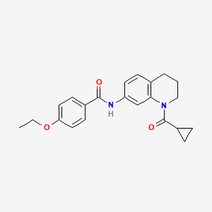 molecular formula C22H24N2O3 B2385392 N-(1-cyclopropanecarbonyl-1,2,3,4-tetrahydroquinolin-7-yl)-4-ethoxybenzamide CAS No. 898423-79-5