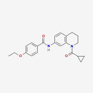 molecular formula C22H24N2O3 B2385392 N-[1-(cyclopropanecarbonyl)-3,4-dihydro-2H-quinolin-7-yl]-4-ethoxybenzamide CAS No. 898423-79-5