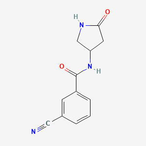 3-cyano-N-(5-oxopyrrolidin-3-yl)benzamide