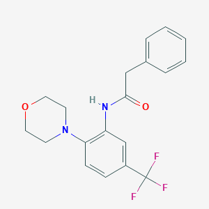molecular formula C19H19F3N2O2 B238740 N-[2-morpholin-4-yl-5-(trifluoromethyl)phenyl]-2-phenylacetamide 