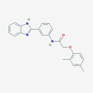 molecular formula C23H21N3O2 B238785 N-[3-(1H-benzimidazol-2-yl)phenyl]-2-(2,4-dimethylphenoxy)acetamide 
