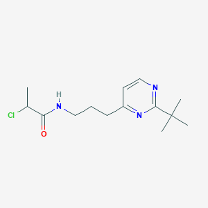 N-[3-(2-Tert-butylpyrimidin-4-yl)propyl]-2-chloropropanamide