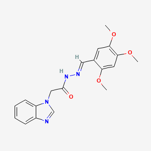 molecular formula C19H20N4O4 B2390727 (E)-2-(1H-benzo[d]imidazol-1-yl)-N'-(2,4,5-trimethoxybenzylidene)acetohydrazide CAS No. 305352-84-5