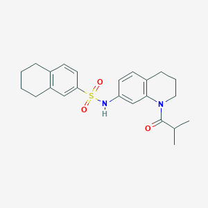 molecular formula C23H28N2O3S B2392230 N-(1-isobutyryl-1,2,3,4-tetrahydroquinolin-7-yl)-5,6,7,8-tetrahydronaphthalene-2-sulfonamide CAS No. 1005301-05-2