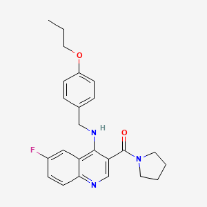 molecular formula C24H26FN3O2 B2392407 (6-Fluoro-4-((4-propoxybenzyl)amino)quinolin-3-yl)(pyrrolidin-1-yl)methanone CAS No. 1326943-68-3