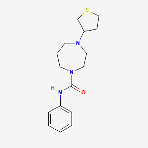 molecular formula C16H23N3OS B2394231 N-phenyl-4-(thiolan-3-yl)-1,4-diazepane-1-carboxamide CAS No. 2320172-83-4