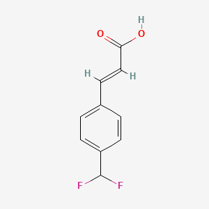 (E)-3-[4-(Difluoromethyl)phenyl]prop-2-enoic acid