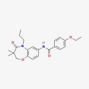 molecular formula C23H28N2O4 B2394553 N-(3,3-dimethyl-4-oxo-5-propyl-2,3,4,5-tetrahydrobenzo[b][1,4]oxazepin-7-yl)-4-ethoxybenzamide CAS No. 921564-22-9