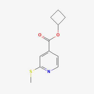 molecular formula C11H13NO2S B2396531 Cyclobutyl 2-(methylsulfanyl)pyridine-4-carboxylate CAS No. 1797936-04-9