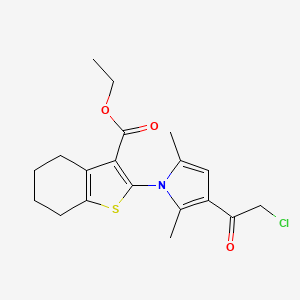 molecular formula C19H22ClNO3S B2397262 Ethyl 2-[3-(2-chloroacetyl)-2,5-dimethylpyrrol-1-yl]-4,5,6,7-tetrahydro-1-benzothiophene-3-carboxylate CAS No. 304685-04-9