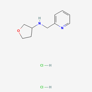 N-(pyridin-2-ylmethyl)tetrahydrofuran-3-amine dihydrochloride