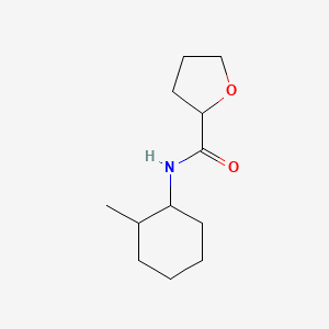 N-(2-Methylcyclohexyl)oxolane-2-carboxamide