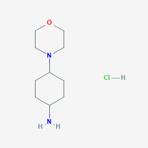 molecular formula C10H21ClN2O B2404988 trans-4-Morpholinocyclohexanamine hydrochloride CAS No. 1683576-26-2; 558442-97-0