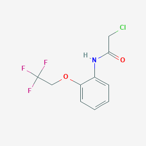 molecular formula C10H9ClF3NO2 B2405818 2-chloro-N-[2-(2,2,2-trifluoroethoxy)phenyl]acetamide CAS No. 929973-54-6