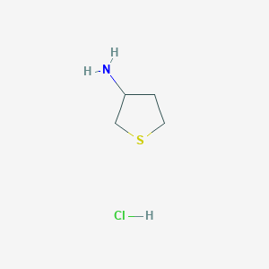 B2408728 Thiolan-3-amine hydrochloride CAS No. 89123-28-4