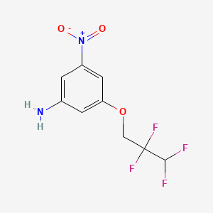 molecular formula C9H8F4N2O3 B2409413 3-硝基-5-(2,2,3,3-四氟丙氧基)苯胺 CAS No. 208038-84-0