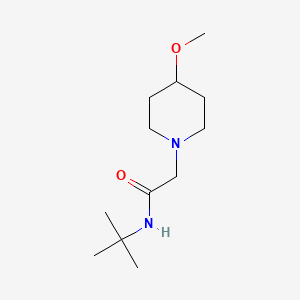 molecular formula C12H24N2O2 B2409561 N-tert-butyl-2-(4-methoxypiperidin-1-yl)acetamide CAS No. 2034606-96-5