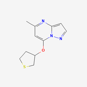 B2410449 5-Methyl-7-(thiolan-3-yloxy)pyrazolo[1,5-a]pyrimidine CAS No. 2175978-90-0