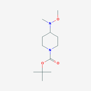 molecular formula C12H24N2O3 B2411640 Tert-butyl 4-[methoxy(methyl)amino]piperidine-1-carboxylate CAS No. 1420294-87-6