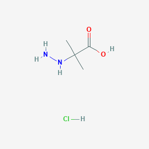 2-Hydrazinyl-2-methylpropanoic acid;hydrochloride