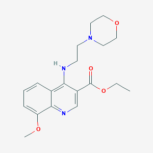 molecular formula C19H25N3O4 B241654 Ethyl 8-methoxy-4-((2-morpholinoethyl)amino)quinoline-3-carboxylate 