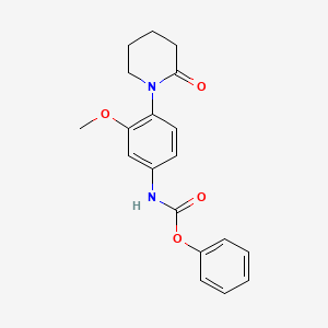 molecular formula C19H20N2O4 B2416598 phenyl N-[3-methoxy-4-(2-oxopiperidin-1-yl)phenyl]carbamate CAS No. 941872-88-4