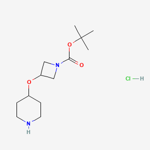 molecular formula C13H25ClN2O3 B2418956 tert-Butyl 3-(piperidin-4-yloxy)azetidine-1-carboxylate hydrochloride CAS No. 2126176-76-7