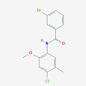 3-bromo-N-(4-chloro-2-methoxy-5-methylphenyl)benzamide