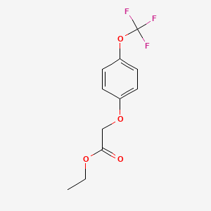 molecular formula C11H11F3O4 B2420369 Ethyl 2-[4-(trifluoromethoxy)phenoxy]acetate CAS No. 710328-15-7