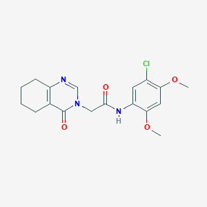 B2423538 N-(5-chloro-2,4-dimethoxyphenyl)-2-(4-oxo-5,6,7,8-tetrahydroquinazolin-3(4H)-yl)acetamide CAS No. 1251692-54-2