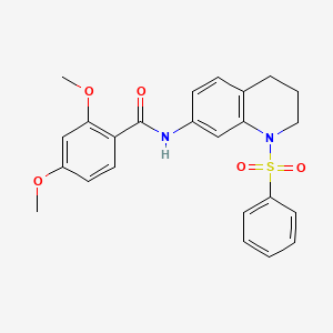 molecular formula C24H24N2O5S B2425935 N-[1-(benzenesulfonyl)-1,2,3,4-tetrahydroquinolin-7-yl]-2,4-dimethoxybenzamide CAS No. 1005301-73-4