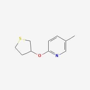 5-Methyl-2-(thiolan-3-yloxy)pyridine