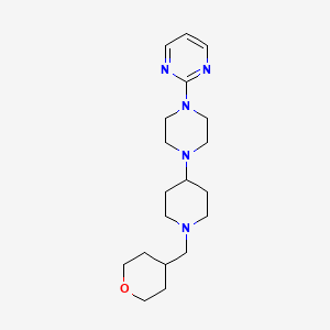 molecular formula C19H31N5O B2428075 2-(4-(1-((四氢-2H-吡喃-4-基)甲基哌啶-4-基)哌嗪-1-基)嘧啶基)吡嘧啶 CAS No. 2034501-36-3