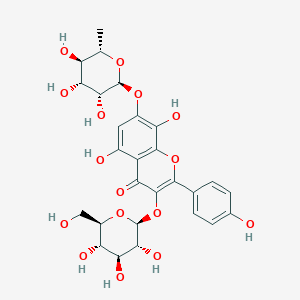 molecular formula C27H30O16 B2428467 Sinocrassoside C1 