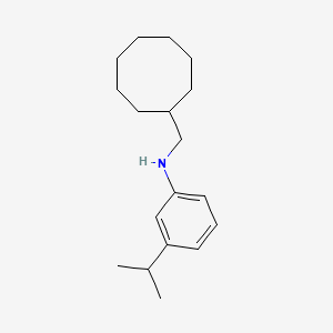 molecular formula C18H29N B2429327 N-(Cyclooctylmethyl)-3-isopropylbenzenamine CAS No. 1397185-77-1