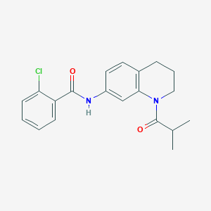 molecular formula C20H21ClN2O2 B2432836 2-chloro-N-(1-isobutyryl-1,2,3,4-tetrahydroquinolin-7-yl)benzamide CAS No. 1005294-27-8