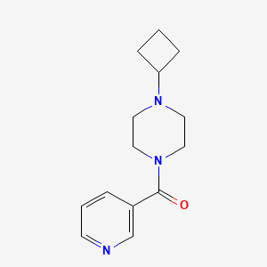 B2440528 (4-Cyclobutylpiperazin-1-yl)-pyridin-3-ylmethanone CAS No. 2329050-42-0