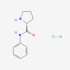 B2443132 (R)-N-Phenylpyrrolidine-2-carboxamide hydrochloride CAS No. 877597-96-1