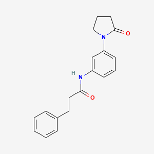 molecular formula C19H20N2O2 B2448040 N-[3-(2-oxopyrrolidin-1-yl)phenyl]-3-phenylpropanamide CAS No. 941957-06-8