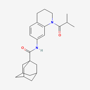 molecular formula C24H32N2O2 B2448198 N-[1-(2-methylpropanoyl)-1,2,3,4-tetrahydroquinolin-7-yl]adamantane-1-carboxamide CAS No. 1005301-83-6