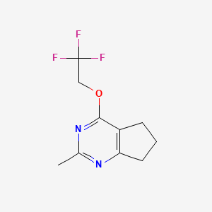 2-methyl-4-(2,2,2-trifluoroethoxy)-5H,6H,7H-cyclopenta[d]pyrimidine