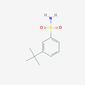 molecular formula C10H15NO2S B2448745 3-(tert-Butyl)benzenesulfonamide CAS No. 1187437-00-8