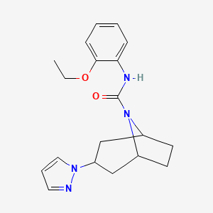 molecular formula C19H24N4O2 B2449195 (1R,5S)-N-(2-ethoxyphenyl)-3-(1H-pyrazol-1-yl)-8-azabicyclo[3.2.1]octane-8-carboxamide CAS No. 2310099-18-2