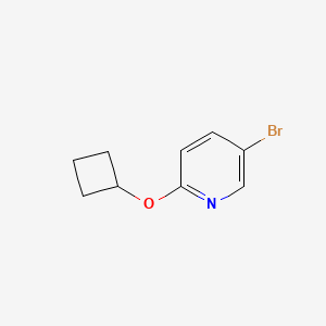 molecular formula C9H10BrNO B2450026 5-Bromo-2-cyclobutoxypyridine CAS No. 1159816-70-2