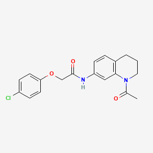 molecular formula C19H19ClN2O3 B2450133 N-(1-acetyl-1,2,3,4-tetrahydroquinolin-7-yl)-2-(4-chlorophenoxy)acetamide CAS No. 898423-59-1