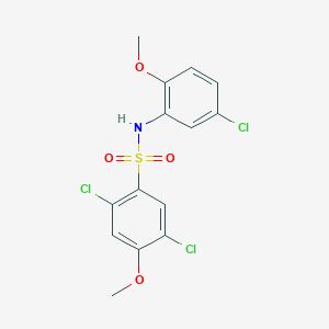 2,5-dichloro-N-(5-chloro-2-methoxyphenyl)-4-methoxybenzene-1-sulfonamide